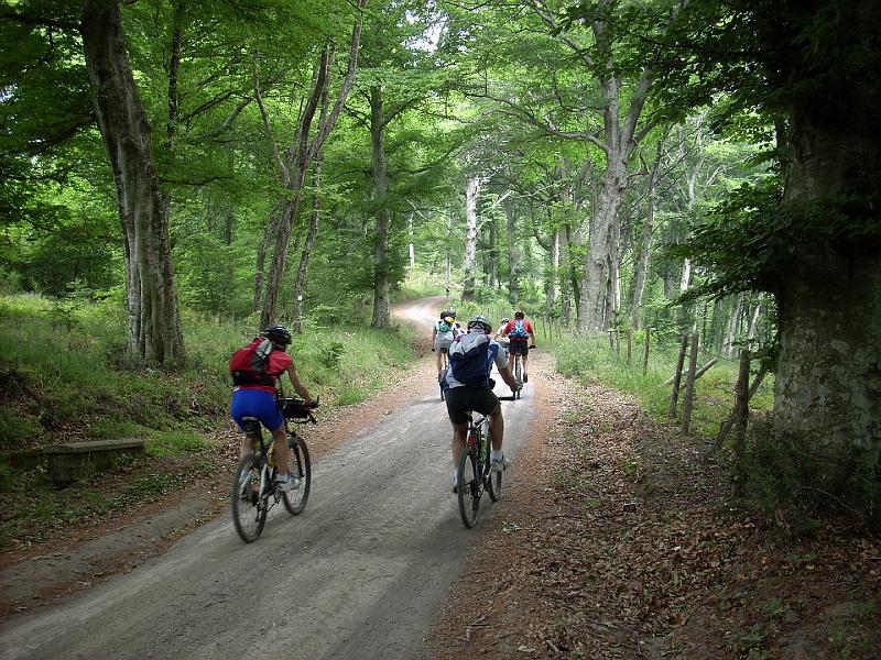 pedalata3 09.jpg